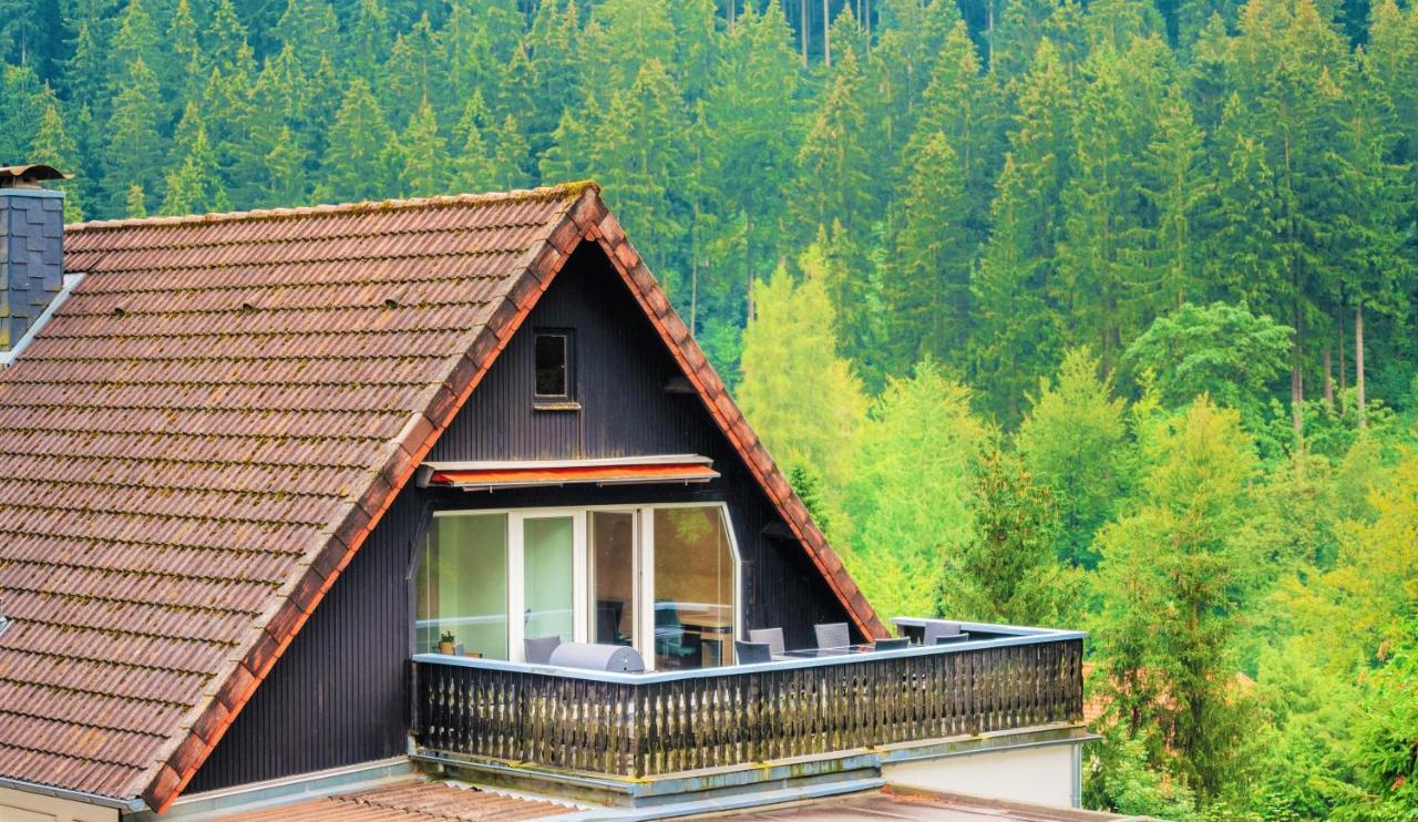 Ferienwohnungen Und Ferienhaus Hafermarkt Wildemann Exterior foto